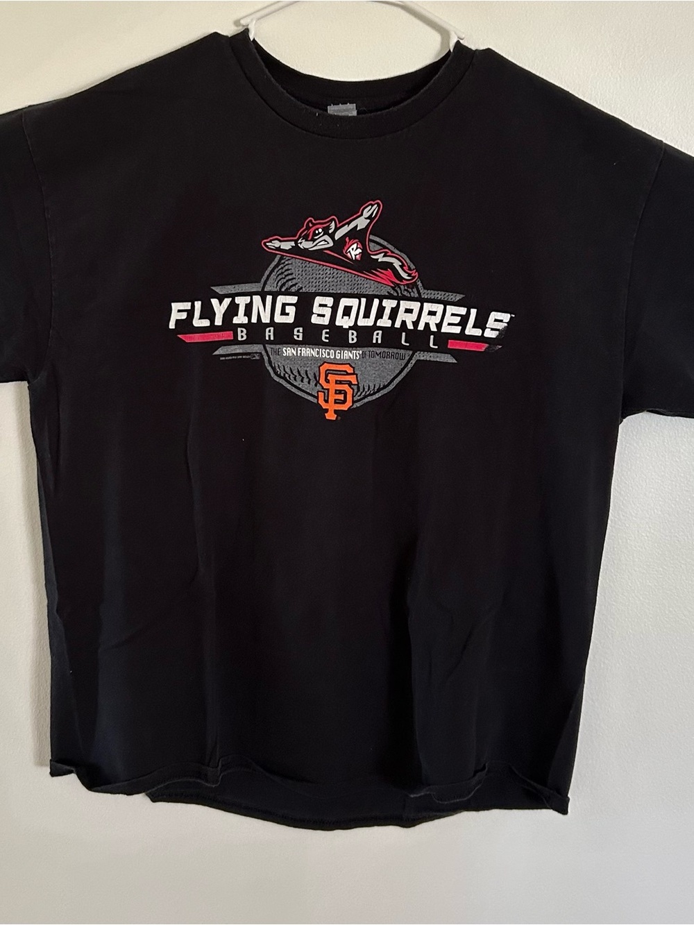 Richmond Flying Squirrels minor league baseball XL